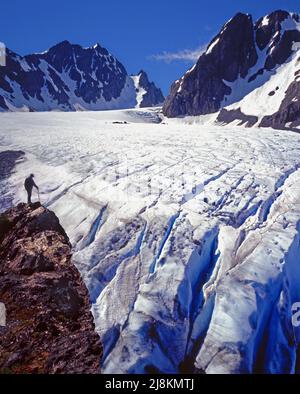 Capolinea del Ghiacciaio Blu, Monte Olympus, Olympic National Park, Washington Foto Stock