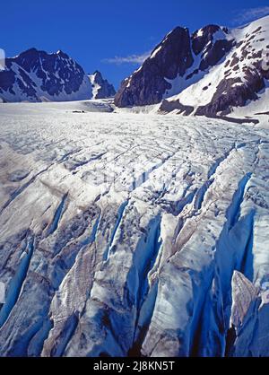 Capolinea del Ghiacciaio Blu, Monte Olympus, Olympic National Park, Washington Foto Stock