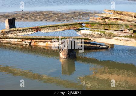 Resti di vecchio molo sull'isola frisone orientale di Spiekeroog, Germania Foto Stock