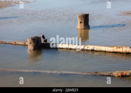 Resti di vecchio molo sull'isola frisone orientale di Spiekeroog, Germania Foto Stock