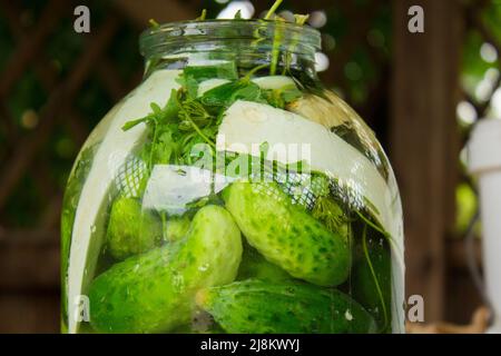cetrioli in vaso di vetro Foto Stock