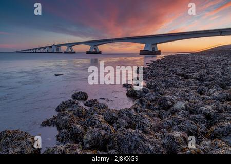Il famoso Zeelandbridge in zeeland Olanda Foto Stock