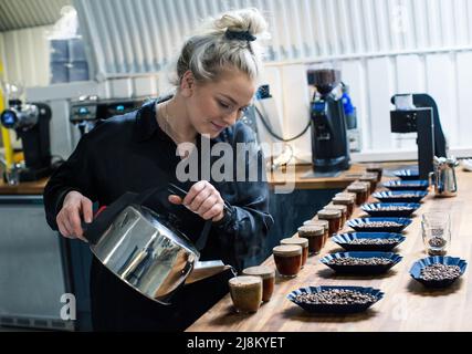 donna che versa l'acqua in bicchieri per degustare il caffè e degustare il caffè Foto Stock