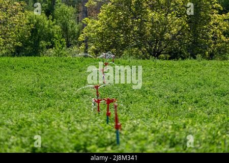 Immagine di fontane con tappi arancioni. Foto Stock