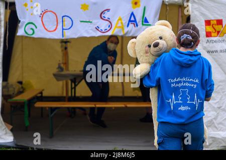 17 maggio 2022, Sassonia-Anhalt, Magdeburg: Uno studente di medicina universitaria porta un teddy nella sala operatoria della clinica Teddy. La Teddy Clinic è gestita da studenti di medicina dell'Università Medical Center Magdeburg e si era aperta al mattino di fronte al dormitorio dell'Ospedale Universitario. Circa 620 bambini sono registrati e possono far esaminare i loro coccolosi giocattoli in modo giocoso. Il venerdì pomeriggio, c'è un'ora di consultazione aperta in cui i bambini possono anche fare esaminare i loro orsacchiotti senza pre-registrazione. Foto: Klaus-Dietmar Gabbert/dpa Foto Stock