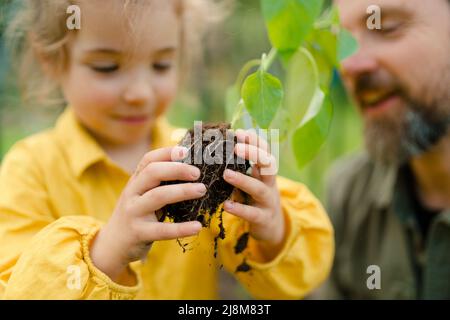 Padre imparando sua figlia a prendersi cura delle piante organiche in serra ecologica, stile di vita sostenibile. Foto Stock