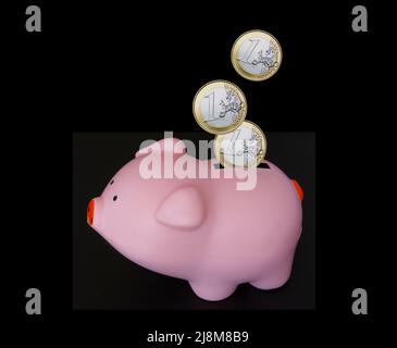 Europa cute Piggy Banca risparmi denaro. Monete da un euro che cadono in una banca di piggy rosa isolata su sfondo nero. Foto Stock