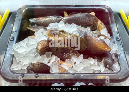 vongole fresche in conchiglie sugli scaffali del negozio su ghiaccio nel frigorifero di un negozio di pesce. Sfondo con messa a fuoco selettiva. Foto Stock