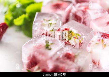 Fragole fresche congelate in blocchi di ghiaccio con foglie di melissa. Foto Stock