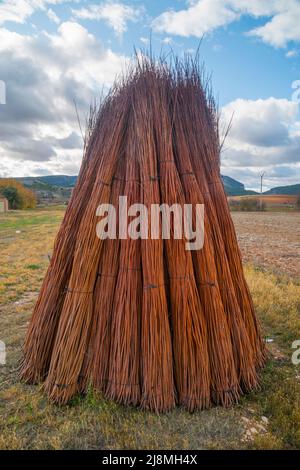 Pacchetto vimini. Priego, provincia di Cuenca, Castilla la Mancha, Spagna. Foto Stock