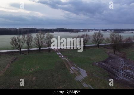 Strada e prati nebbi in serata nella contea di Wegrow, Voivodato Masoviano di Polonia Foto Stock