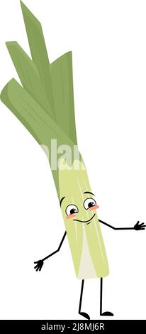 Simpatico personaggio di porro verde con gioie emozioni, viso felice, occhi sorridenti, braccia e gambe. Verdura sana con espressione e postura divertenti, ricca di vitamine. Illustrazione piatta vettoriale Illustrazione Vettoriale