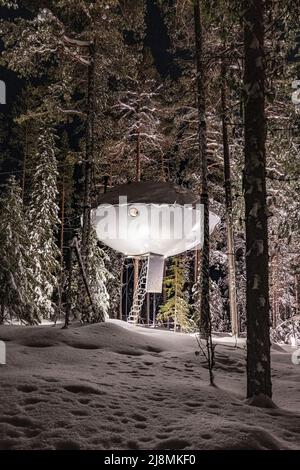 Futuristica camera a forma di UFO per turisti sospesi tra alti alberi nella foresta innevata, Tree Hotel, Harads, Lapponia, Svezia Foto Stock