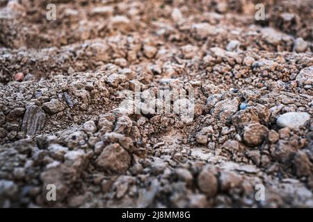 Marrone arato suolo texture background.Close up view Foto Stock