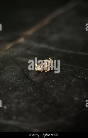 Anello dorato a forma di coccodrillo su sfondo di marmo scuro Foto Stock