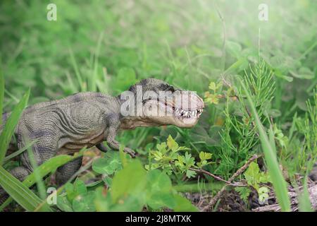 Tyrannosaurus t-rex action figure camminando attraverso la vegetazione scena realistica in natura dinosauro mostro Foto Stock