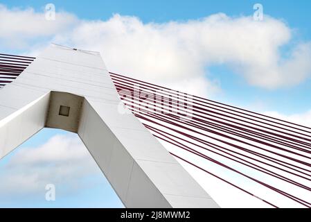 Un grande ponte ferrato via cavo sull'autostrada tedesca sul fiume Reno, contro il cielo blu, vista dal fondo del pilastro. Foto Stock