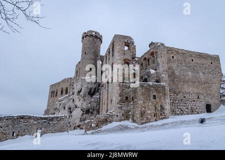 Rovine del castello medievale di Ogrodzieniec nel villaggio di Podzamcze, nella cosiddetta regione polacca del Giura, parte del Sentiero dei nidi delle aquile Foto Stock