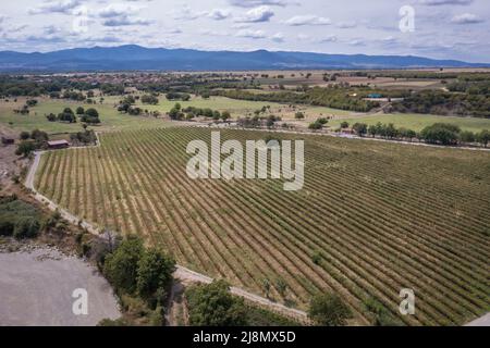 Campo di rosa con droni accanto al complesso etnografico Damascena situato nel villaggio di Skobelevo in Rose Valley, Bulgaria Foto Stock