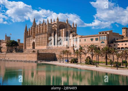 Palm trees growing at canal waterside by La Seu Cathedral against blue sky in old town Foto Stock