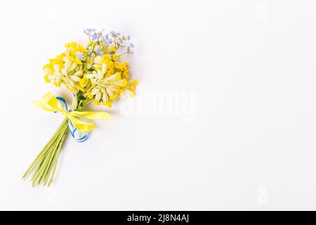 Bouquet luminoso di piccoli fiori selvatici su sfondo bianco, primrose gialle e not blu dimenticati Foto Stock