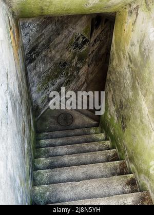 Una scala di cemento a Fort Casey su Whidbey Island scende nei bunker. Foto Stock