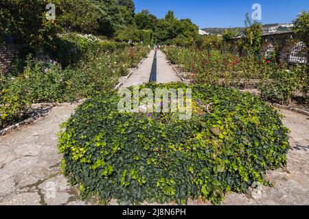 Roses giardino nel parco architettonico Palace e complesso giardino botanico a Balchik, città costiera del Mar Nero nel sud Dobruja, Bulgaria Foto Stock