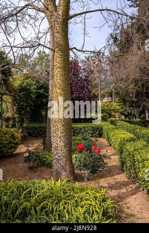 Trees and plants growing in park against sky at historic town Foto Stock