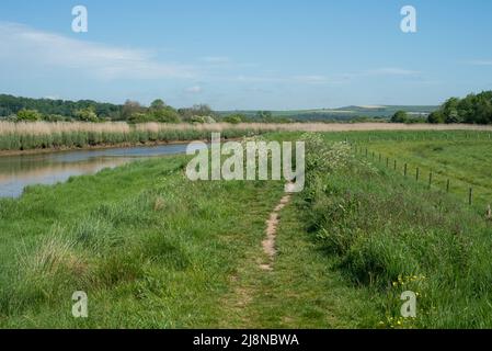 Splendido scenario pittoresco di un sentiero che conduce intorno al fiume Arun nel Sussex occidentale, Inghilterra. Parte dell'area panoramica di South Downs. Foto Stock