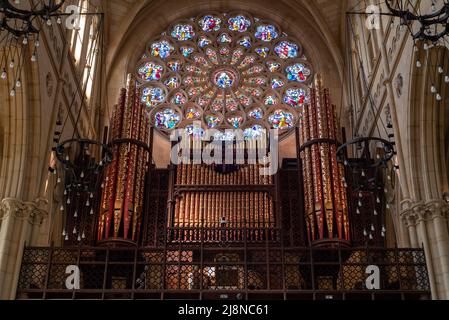 Vista interna che mostra l'organo e la finestra rotonda in vetro colorato all'interno della Chiesa Cattedrale di nostra Signora e St Philip Howard in Arundel, West Sussex, E. Foto Stock