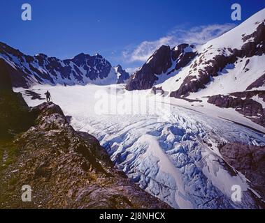 Capolinea del Blue Glacier, Olympic National Park, Washington Foto Stock