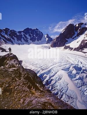 Capolinea del Blue Glacier, Olympic National Park, Washington Foto Stock