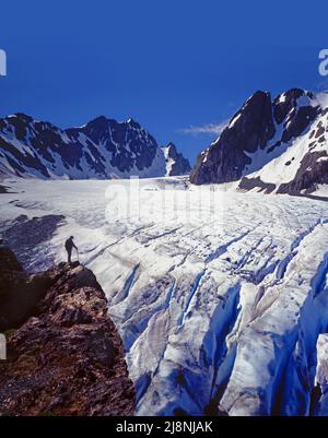 Capolinea del Blue Glacier, Olympic National Park, Washington Foto Stock