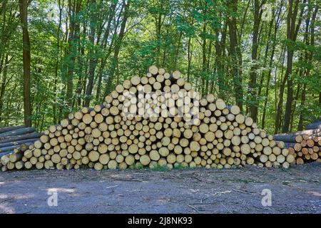 Mucchio di legno del registro Foto Stock