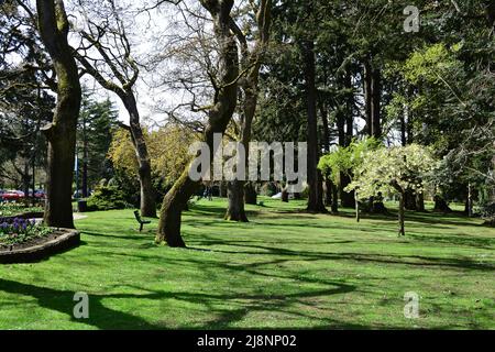 BEACON HILL PARK A VICTORIA BC, CANADA Foto Stock