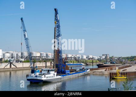 Duisport, Porto di Ruhrort, Coal Island, conversione della vecchia area portuale nel più grande terminal di container trimodale d'Europa, la bonifica terrestre Foto Stock