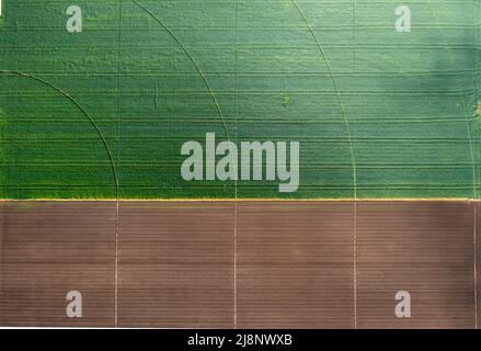 Vista dall'alto aerea di diversi campi agricoli. Colpo di drone. Foto Stock