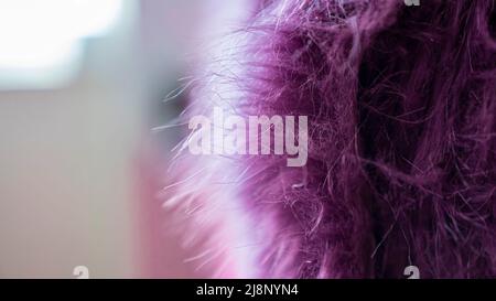 Dettagli peluche viola a pelo lungo. Vista laterale e ravvicinata. Spazio copia. Foto Stock
