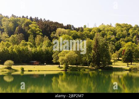 Splendida foresta vicino a Eiserbachsee Foto Stock