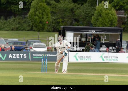 Ben Foakes di Surrey e batting Inghilterra Foto Stock