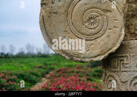 Il Parco Archeologico di Metaponto in Basilicata, antica colonia di Magna Grecia poi conquistata dai Romani nel 3rd a.C. Foto Stock