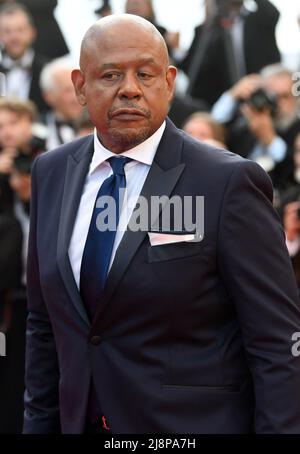 Cannes, Francia. 17th maggio 2022. L'attore americano Forest Whitaker partecipa alla cerimonia di apertura e prima di Final Cut al Palais des Festivals al Festival del Cinema di Cannes del 75th, in Francia, martedì 17 maggio 2022. Foto di Rune Hellestad/ Credit: UPI/Alamy Live News Foto Stock