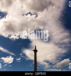 Colonna di Nelson in Trafalgar Square; progettata da William Railton, statua di Edward Hodges Baily, eretta nel 1843 Foto Stock