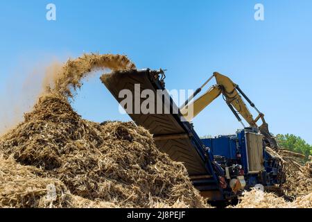 Trasportatore di lavoro di una trituratrice industriale per la produzione di trucioli di legno dalle radici in cantiere Foto Stock