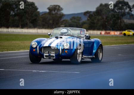 Un blu 1965 Shelby Cobra che fa giri durante una giornata privata di test al circuito di Winton Motor. Foto Stock