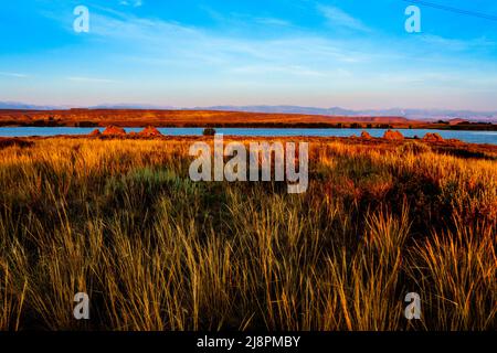 Camping vicino a questo era un campo dove la luce del sole presto inondava il campo e l'acqua di luminosità. Il sole è dietro la fotocamera. Foto Stock