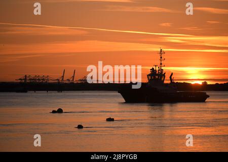 18/05/2022 Gravesend Regno Unito. Quando le temperature salgono, un'alba vulcanica dietro Svitzer Tug London e le gru di London Gateway sopra in Tilbury Est su Foto Stock
