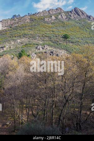 Villuercas geopark paesaggi, Caceres, Extremadura, Spagna. Magnifica vista delle creste rocciose Foto Stock