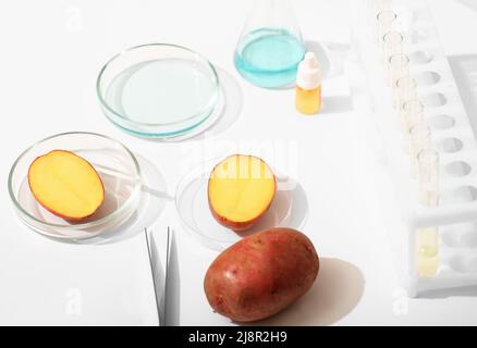 Una patata geneticamente modificata in un laboratorio con provette e piastre Petri. Ricerca biologica, esperienza ogm. Foto Stock