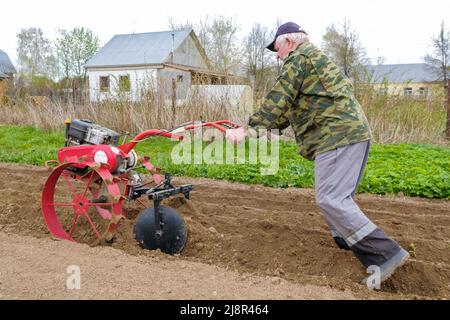 Un agricoltore maschio anziano forma letti sul terreno utilizzando un trattore a piedi. Foto Stock